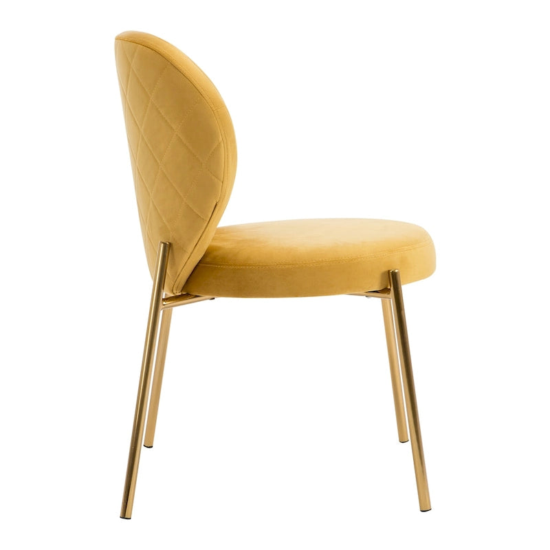 Sedie da pranzo in velluto piccole e graziose con gambe in metallo dorato, set da 2