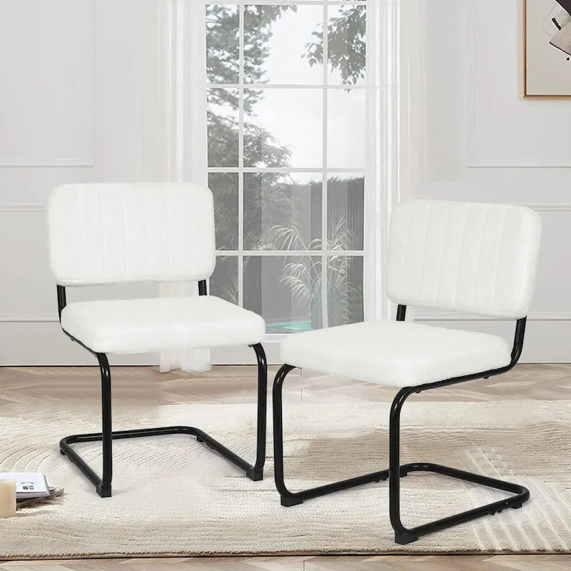 Sedie da Pranzo Set da 2, Sedie Laterali Imbottite Comode e Robuste