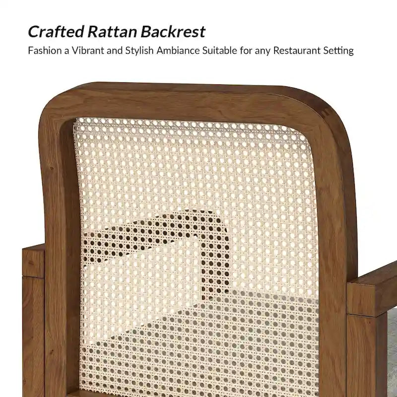 Sedia da Pranzo Antoine Modern Ratten con Schienale e Cuscino Rimovibile di HULALA HOME