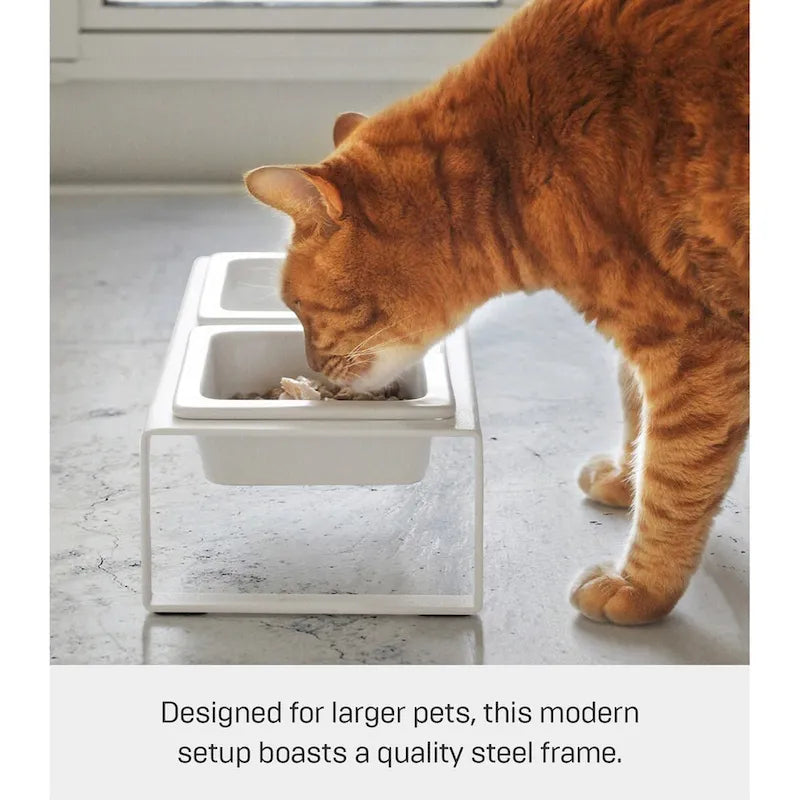 Yamazaki Home Ciotola per cibo per animali domestici - Due stili, acciaio e ceramica, alta, 1,25 tazze, 300 millilitri per ciotola