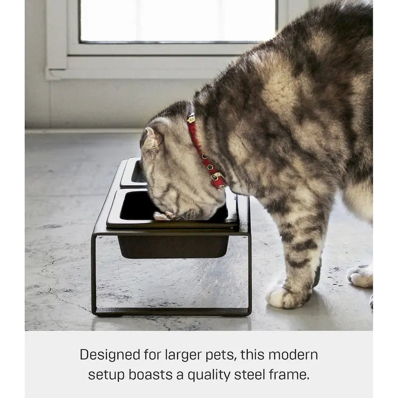 Yamazaki Home Ciotola per cibo per animali domestici - Due stili, acciaio e ceramica, alta, 1,25 tazze, 300 millilitri per ciotola